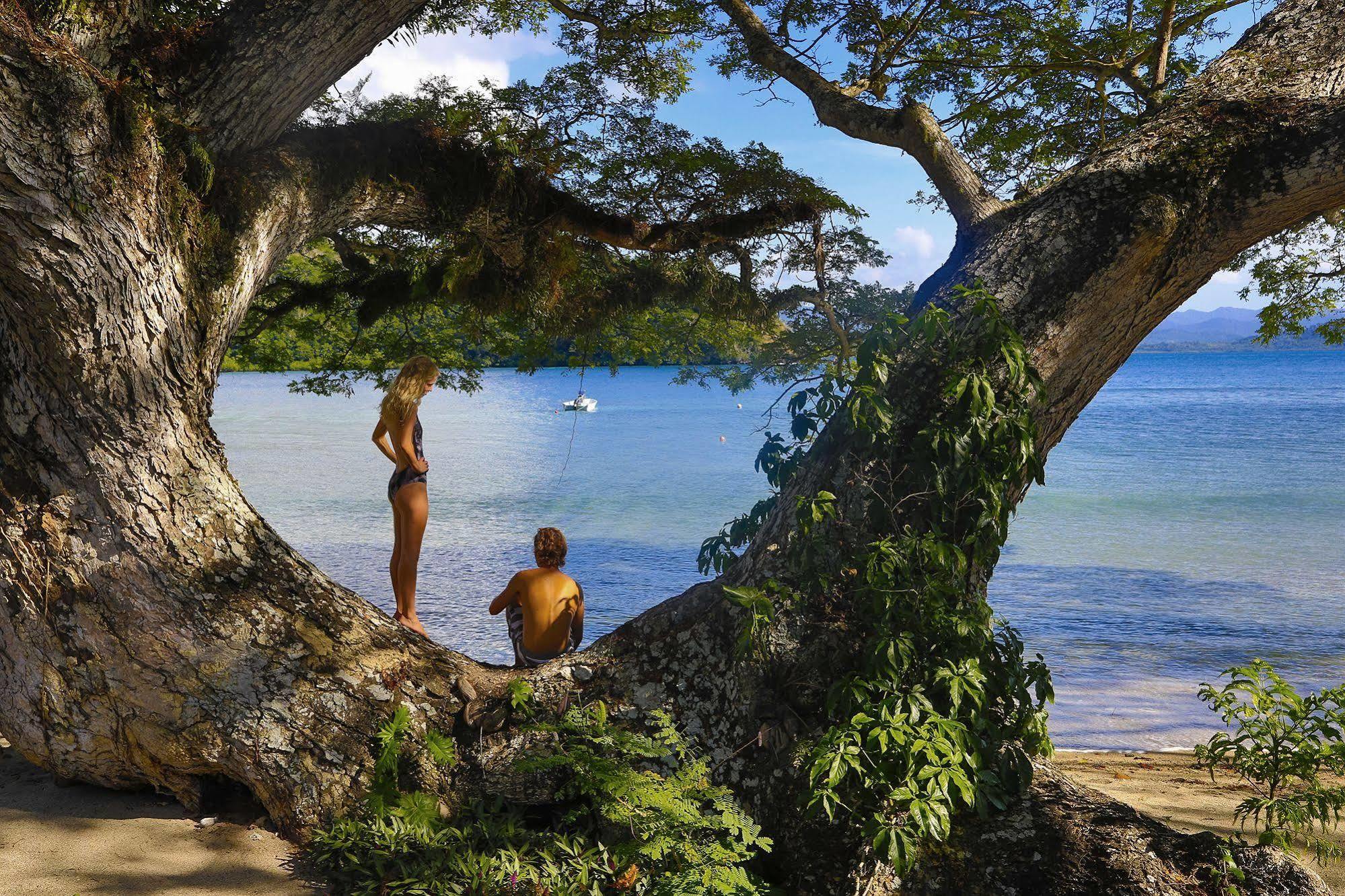 Sau Bay Resort - Off Taveuni Na Sau Bay Esterno foto